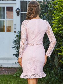 Eilly Bazar Đầm Tương phản ren Viên lá sen Dây kéo màu trơn Thanh lịch - Màu Hồng baby - Xem 3