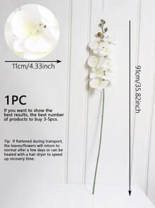 1 cành hoa lan bướm nhân tạo 35,82 inch, hoa phalaenopsis trắng cổ điển, thích hợp cho tiệc cưới/trang trí nhà cửa/trang trí ngày lễ - trắng - Xem 3