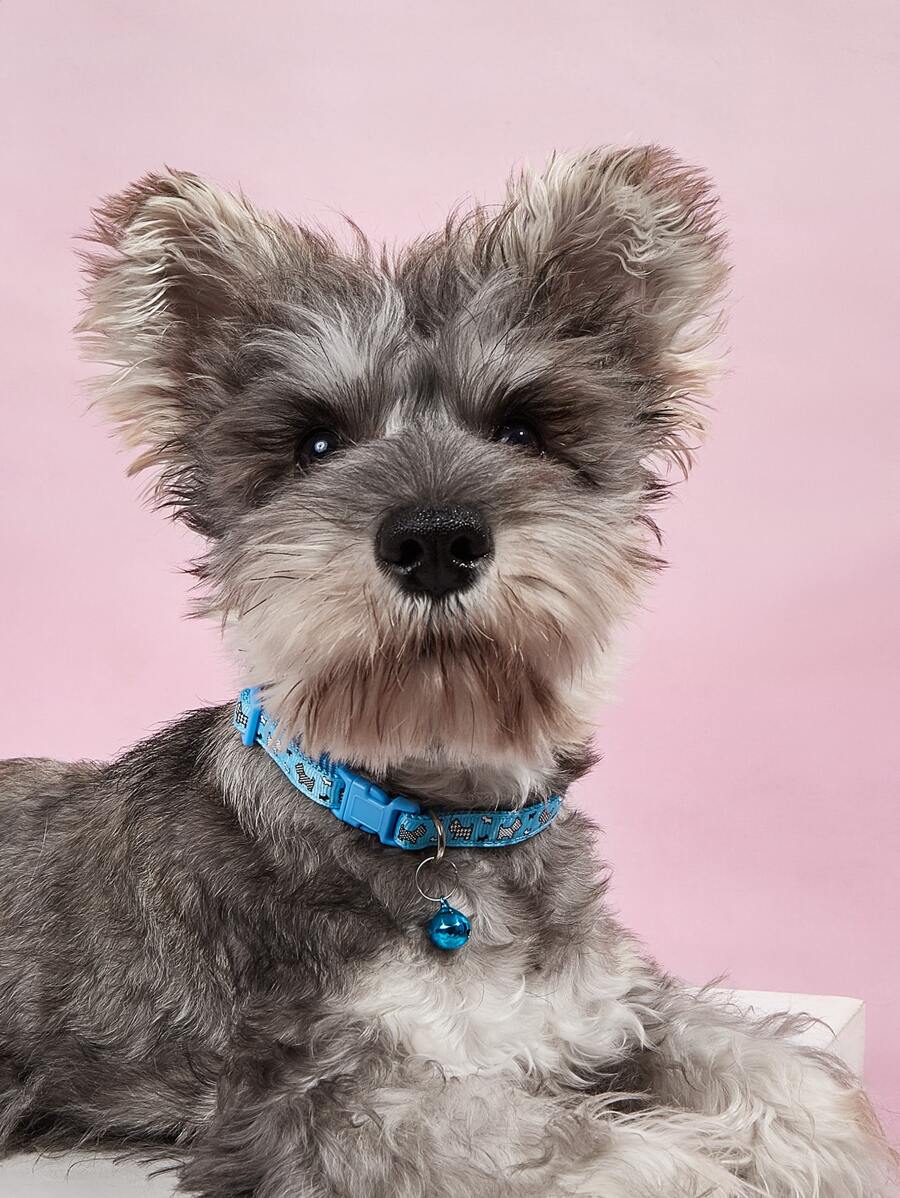 1入組卡通狗圖案寵物項圈適用於貓和狗狗適用於戶外 - 藍色 - 查看 1