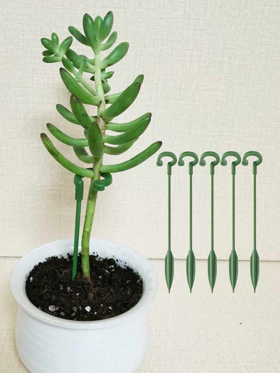 5 Cái/bộ Cọc Hỗ Trợ Cây Nhựa, Cọc Cây Hiện Đại Cho Vườn - màu xanh lá - Xem 1