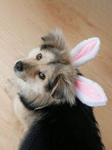 1入組 T型兔耳朵毛圈,適用於貓狗節慶裝飾,尺寸：小,中,大 - 白色 - 查看 7