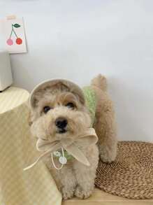 1pc Modern Pet Sun Hat For Cat And Dog For Outdoor - Multicolor - View 3