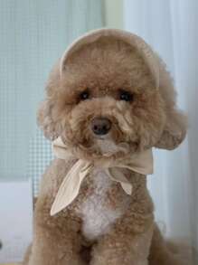 1pc Modern Pet Sun Hat For Cat And Dog For Outdoor - Multicolor - View 5