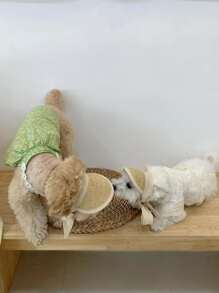 1pc Modern Pet Sun Hat For Cat And Dog For Outdoor - Multicolor - View 6