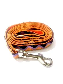 1pc Geometric Pattern Pet Leash For Cat And Dog For Outdoor - Multicolor - View 2