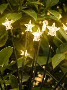 1pc Plastic Solar Lawn Lamp, Star Design Solar Pathway Light For Outdoor Garden Decor - Yellow - View 1