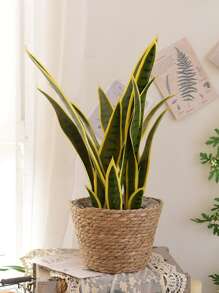 1入組套稻草花盆家用極簡主義植物容器