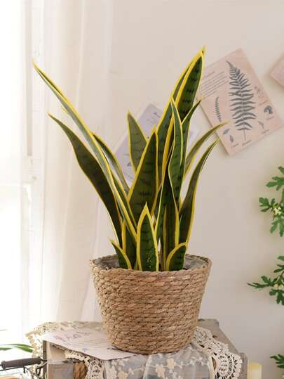 1入組套稻草花盆家用極簡主義植物容器