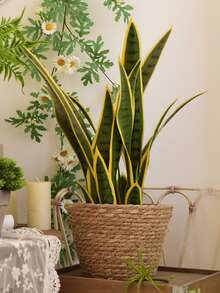 1入組套稻草花盆家用極簡主義植物容器