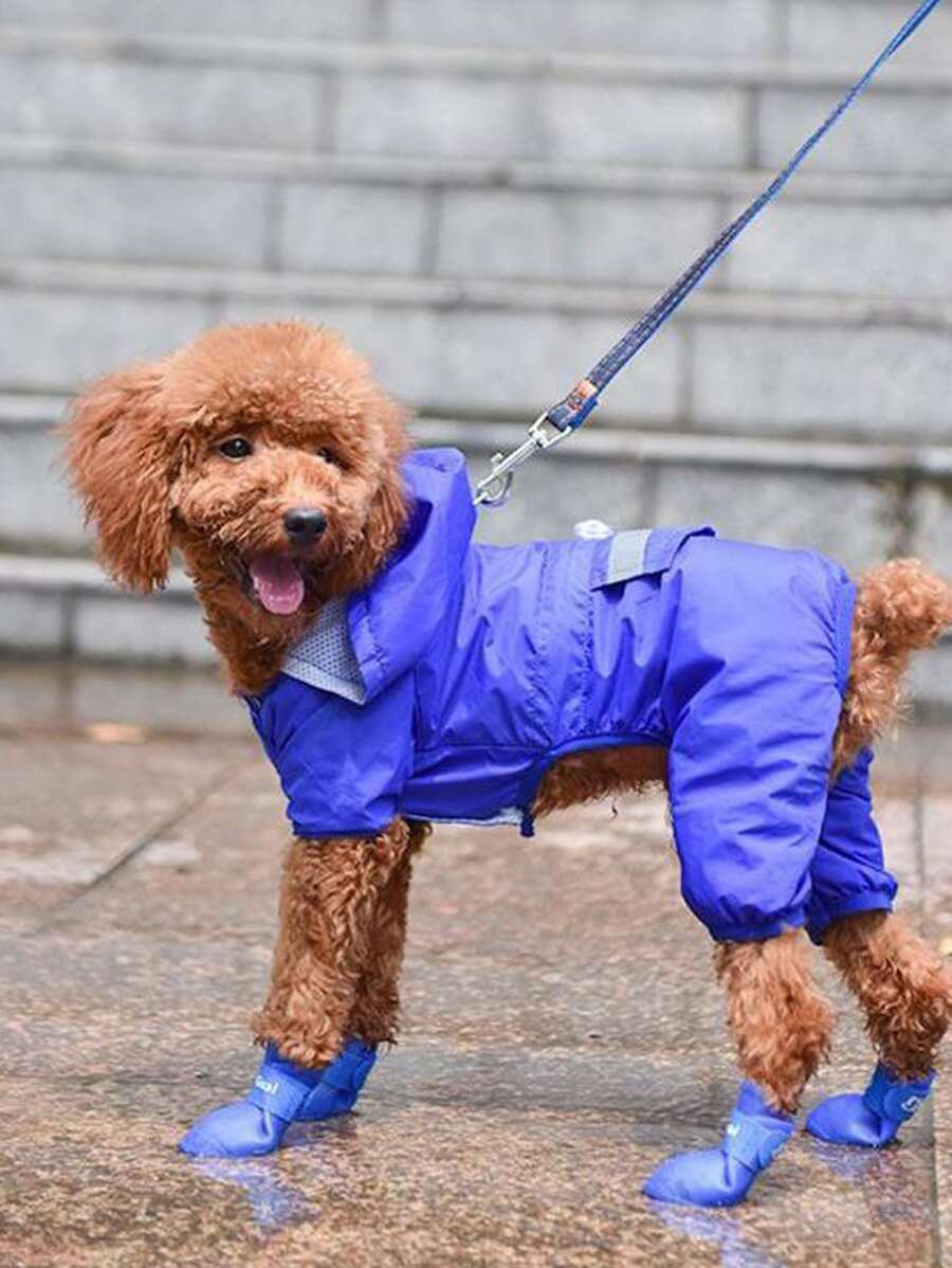 1 bộ/4 cái Không thấm nước & Chống trượt Silicone Giày đi mưa Đối với Mèo Và Chó Đến Mặc Ngoài trời Có mưa Ngày