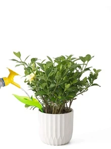 2pcs/set Plastic Watering Funnel, Creative Leaf Design Plant Watering Device For Garden - Green - View 3