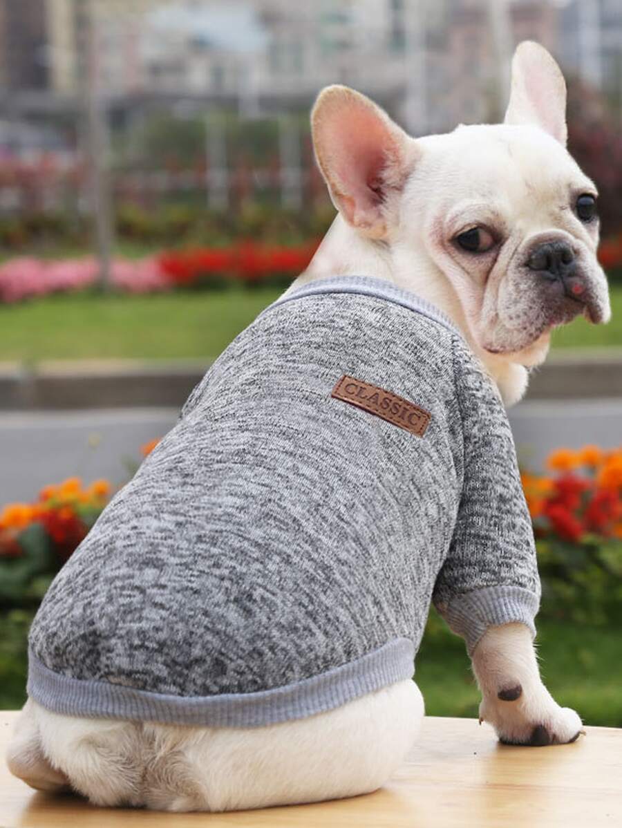 1入組字母貼布寵物運動衫適用於貓和狗狗適用於冷季 - 淺灰色 - 查看 1