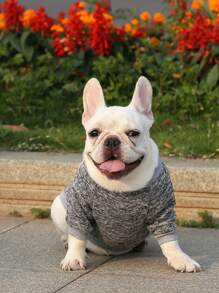 1入組字母貼布寵物運動衫適用於貓和狗狗適用於冷季 - 淺灰色 - 查看 3