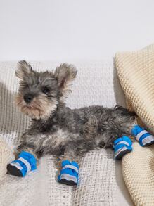 1 paio di scarpe morbide e traspiranti per il fondo delle zampe di gatti e cani, adatte per tutte le stagioni