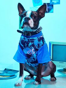 PETSIN 1pc Cartoon Graphic Pet Tee For Dog And Cat For Summer - Blue - View 7