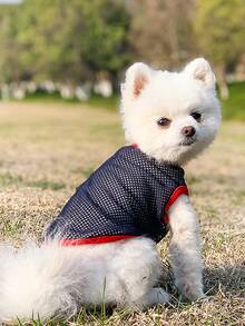 1pc Contrast Binding Pet Tee For Dog And Cat For Summer - Navy Blue - View 2