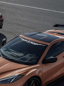 1pc Wing Pattern Car Sticker