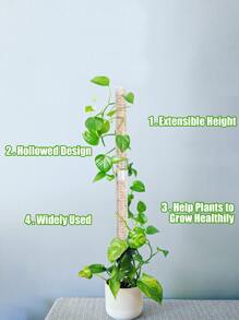 1set Plastic Plant Support Stake, Plant Climbing Holder For Plant - Clear - View 4