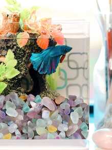 200g Sea Shells Mixed Beach Seashells 9 Kinds 1.2"-3.5 "Various Sizes Natural Seashells And 2 Kinds Of Natural Starfish For Beach Themed Party DIY Crafts Fishtank Vase Fillers Home Wedding Decorations(Random) Birthday - Multicolor - View 3