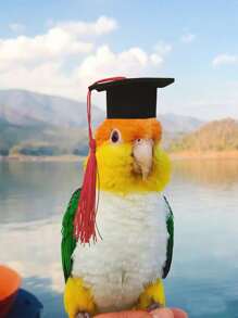 1 pieza Sombrero con diseño de fleco al azar pájaro para loro para accesorio para foto - Multicolor - Ver 1