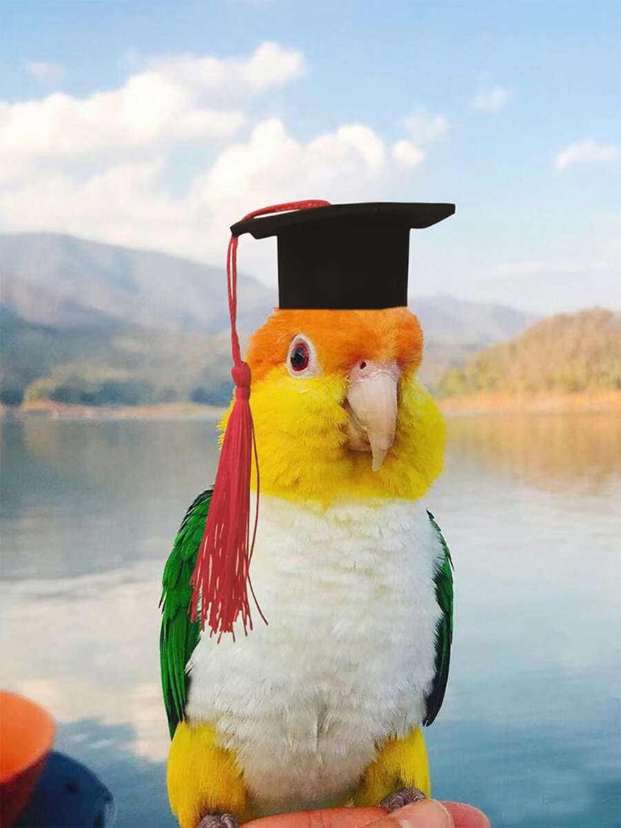 1 pieza Sombrero con diseño de fleco al azar pájaro para loro para accesorio para foto - Multicolor - Ver 1