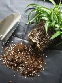 1 tấm lót thay thế đất PE, tấm lót rắn tối giản cho sân vườn - màu đen - Xem 4