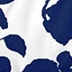 Blue and White