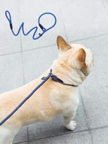 1pc Random Color Pet Leash For Cat And Dog For Outdoor - Multicolor - View 7