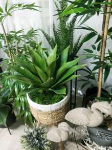 1片塑料人造樹葉現代人造植物適合家庭派對 - 綠色 - 查看 9