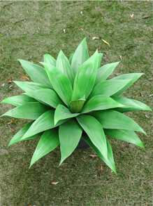 1片塑料人造樹葉現代人造植物適合家庭派對 - 綠色 - 查看 11