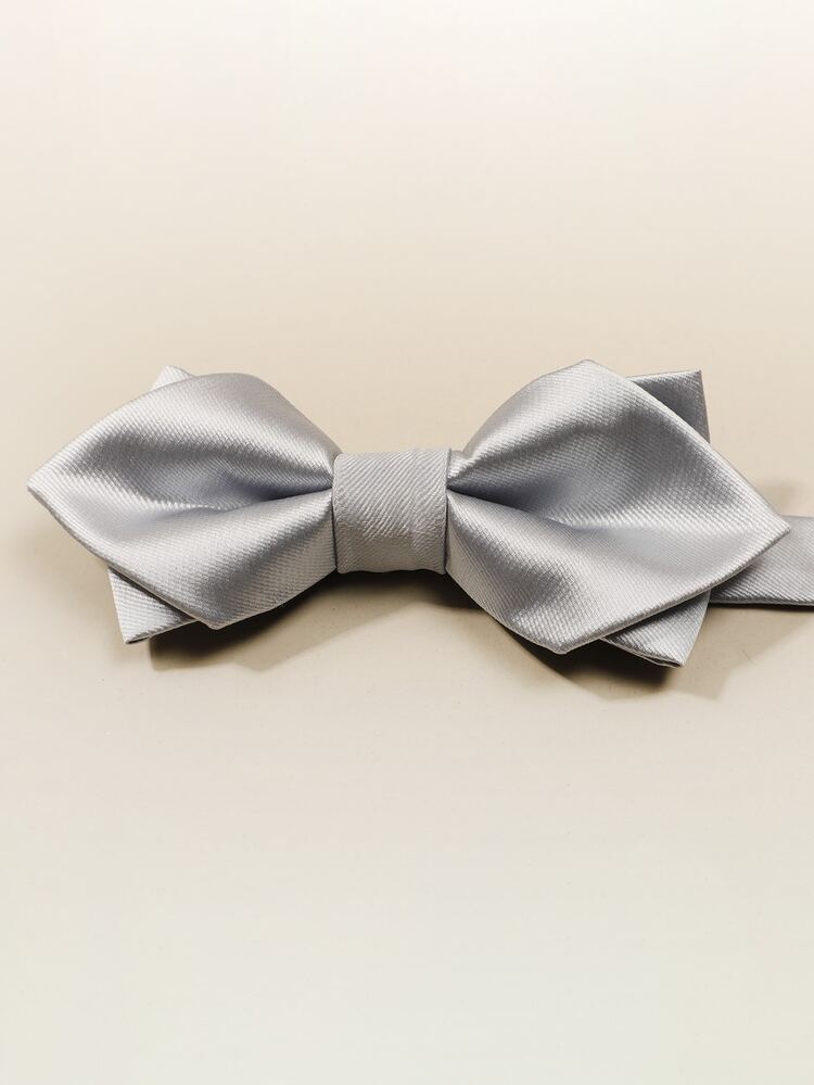 Homme Unicolore Nœud Papillon - Argent - Voir 2