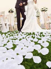 2000入组/套白色五彩紙屑創意滌綸花瓣設計紙巾紙屑適合派對 - 米色 - 查看 2