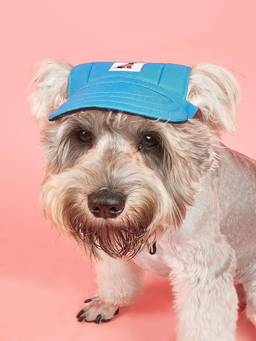 BONAPET 小狗樣式寵物帽子