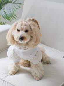 1pc Star Decor Pet Tee For Cat And Dog For Wedding - White - View 3