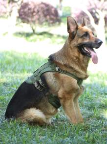 1pc Adjustable Pet Harnesses For Cat And Dog For Outdoor - Green - View 1