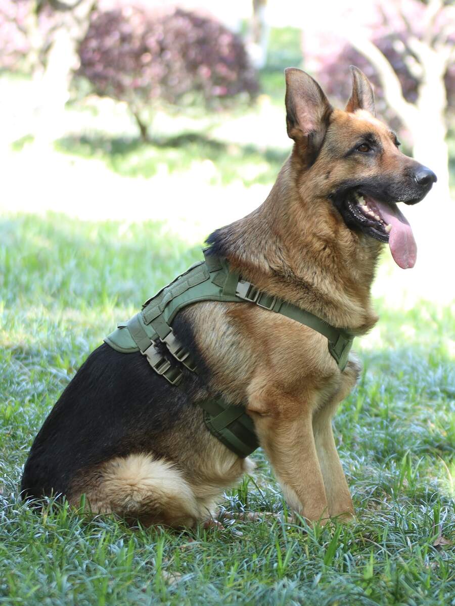 1pc Adjustable Pet Harnesses For Cat And Dog For Outdoor - Green - View 1