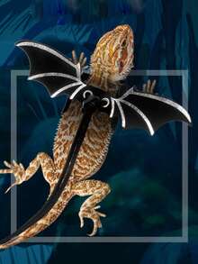 5 piezas lagartija arnés & Correa Set para reptil para exterior - Negro - Ver 3