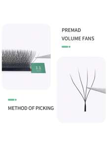 Glamlash 12排4DW形狀8-15毫米CD捲曲預製扇形睫毛延長俄羅斯卷睫毛三葉草綻放睫毛多莉混合睫毛 - 黑色 - 查看 3