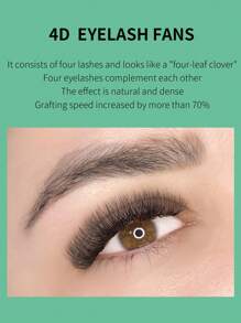 Glamlash 12排4DW形狀8-15毫米CD捲曲預製扇形睫毛延長俄羅斯卷睫毛三葉草綻放睫毛多莉混合睫毛 - 黑色 - 查看 5