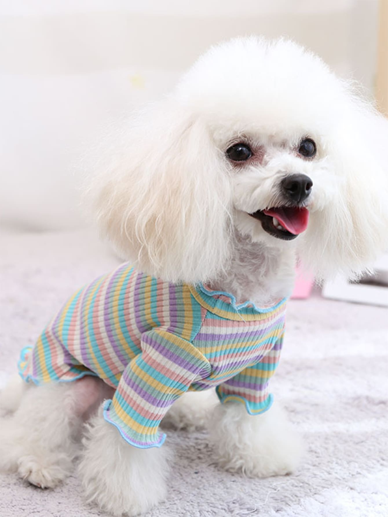 1入組條紋印花寵物T恤衫適用於貓和狗狗適合春天 - 彩色 - 查看 1