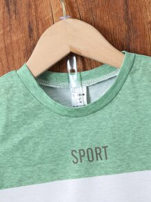 SHEIN Toddler Boys Letter Graphic Colourblock Tee & Shorts - Multicolor - View 6