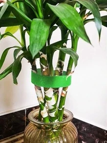 1pc Polyamide Plant Cable Tie, Modern Green Hook-and-loop Fastener For Garden - Green - View 7