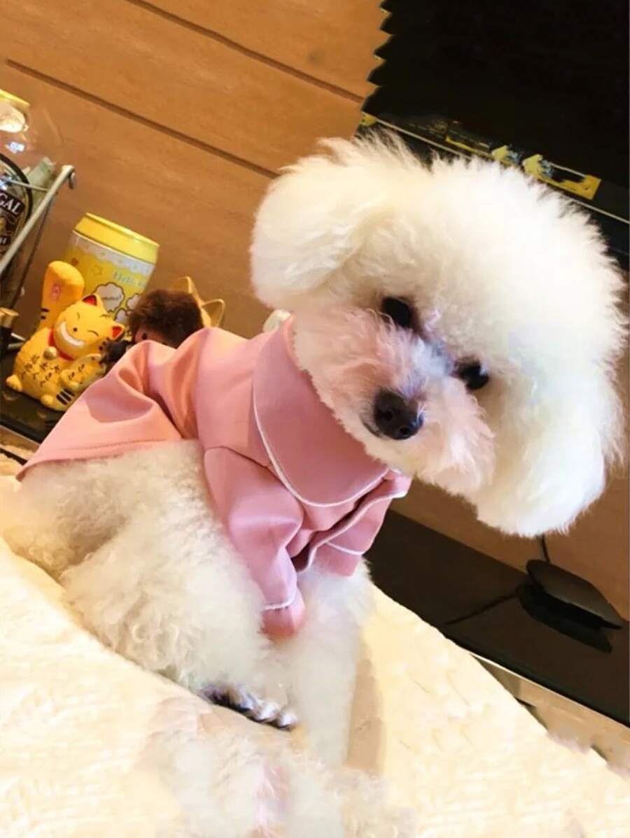 1入組撞色滾邊寵物睡衣適用於貓和狗狗適合春天和夏天 - 粉色 - 查看 1