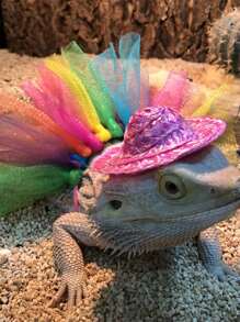 1pc Lizard Hat & 1pc Gauze Dress For Reptile For Decoration - Multicolor - View 1