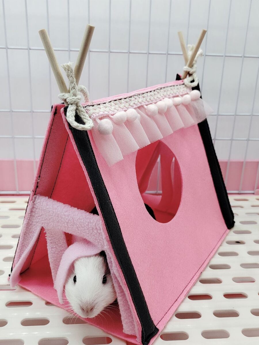 Beautiful view of Diy Hamster Fabric Tent