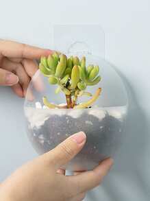 WHICHLIFE 1pc Wall Mounted Plant Container, Modern PP Clear Plant Pot For Home - Clear - View 2