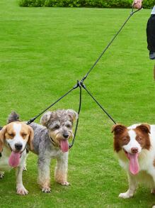 1pc 3 In 1 Pet Leash For Cat And Dog For Outdoor - Black - View 1