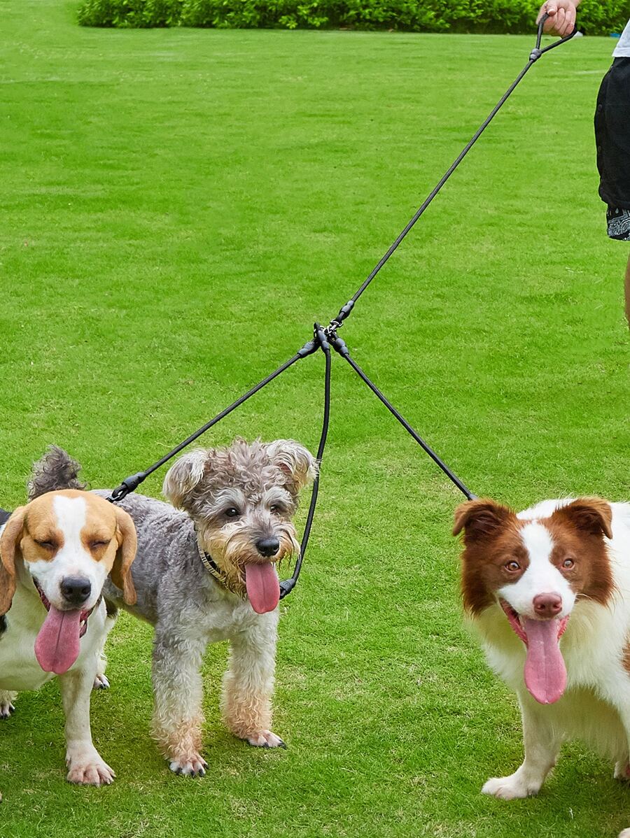 1pc 3 In 1 Pet Leash For Cat And Dog For Outdoor - Black - View 1