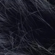 S1
