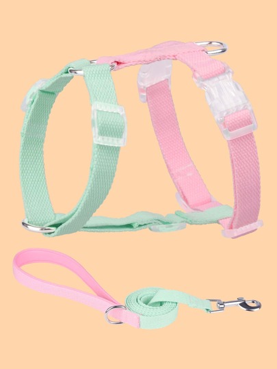 1入組撞色寵物背帶和1条皮带適用於貓和狗狗適用於戶外